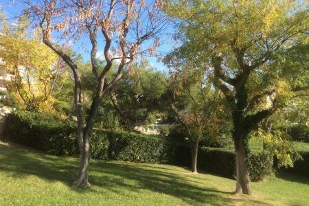 Cassis 4Pers Vue Mer Wifi Tennis Parking Piscine Luaran gambar